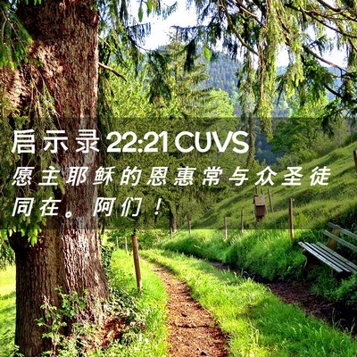 Picture 02 - 启 示 录 22:21 CUVS - 愿 主 耶 稣 的 恩 惠 常 与 众 圣 徒 - Bible Verse Picture