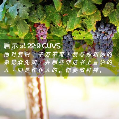 Picture 02 - 启 示 录 22:9 CUVS - 他 对 我 说 ： 千 万 不 可 ！ 我 与 - Bible Verse Picture
