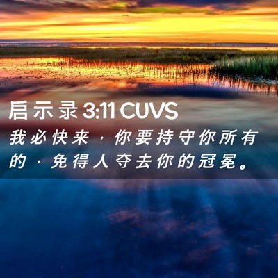 Picture 02 - 启 示 录 3:11 CUVS - 我 必 快 来 ， 你 要 持 守 你 所 有 - Bible Verse Picture