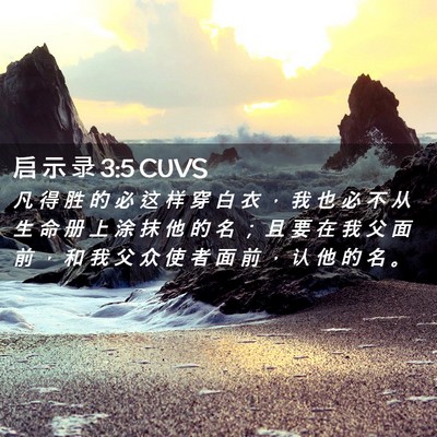 Picture 02 - 启 示 录 3:5 CUVS - 凡 得 胜 的 必 这 样 穿 白 衣 ， 我 - Bible Verse Picture