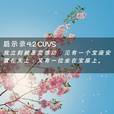 Picture 02 - 启 示 录 4:2 CUVS - 我 立 刻 被 圣 灵 感 动 ， 见 有 一 - Bible Verse Picture