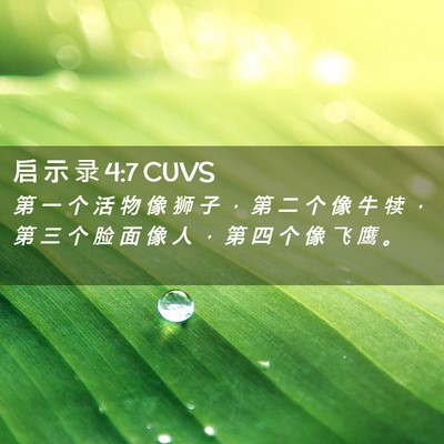 Picture 02 - 启 示 录 4:7 CUVS - 第 一 个 活 物 像 狮 子 ， 第 二 个 - Bible Verse Picture