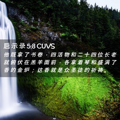 Picture 02 - 启 示 录 5:8 CUVS - 他 既 拿 了 书 卷 ， 四 活 物 和 二 - Bible Verse Picture