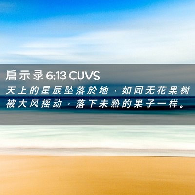 Picture 02 - 启 示 录 6:13 CUVS - 天 上 的 星 辰 坠 落 於 地 ， 如 同 - Bible Verse Picture