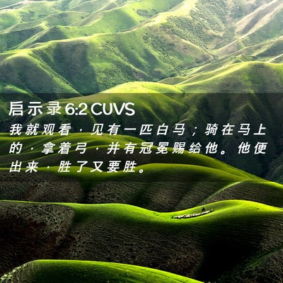 Picture 02 - 启 示 录 6:2 CUVS - 我 就 观 看 ， 见 有 一 匹 白 马 ； - Bible Verse Picture