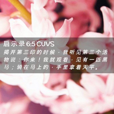 Picture 02 - 启 示 录 6:5 CUVS - 揭 开 第 三 印 的 时 候 ， 我 听 见 - Bible Verse Picture