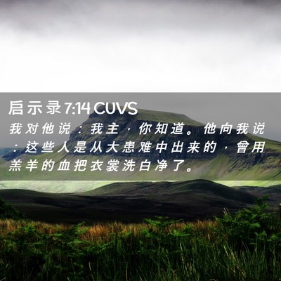 Picture 02 - 启 示 录 7:14 CUVS - 我 对 他 说 ： 我 主 ， 你 知 道 。 - Bible Verse Picture