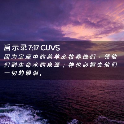 Picture 02 - 启 示 录 7:17 CUVS - 因 为 宝 座 中 的 羔 羊 必 牧 养 他 - Bible Verse Picture