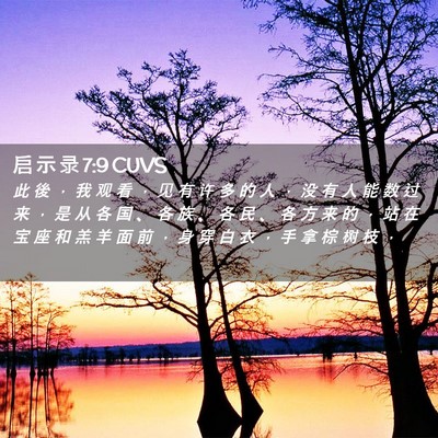 Picture 02 - 启 示 录 7:9 CUVS - 此 後 ， 我 观 看 ， 见 有 许 多 的 - Bible Verse Picture