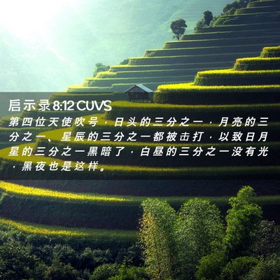 Picture 02 - 启 示 录 8:12 CUVS - 第 四 位 天 使 吹 号 ， 日 头 的 三 - Bible Verse Picture