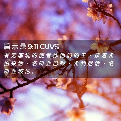 Picture 02 - 启 示 录 9:11 CUVS - 有 无 底 坑 的 使 者 作 他 们 的 王 - Bible Verse Picture