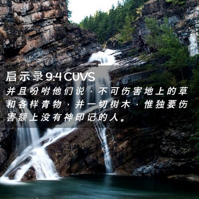 Picture 02 - 启 示 录 9:4 CUVS - 并 且 吩 咐 他 们 说 ， 不 可 伤 害 - Bible Verse Picture