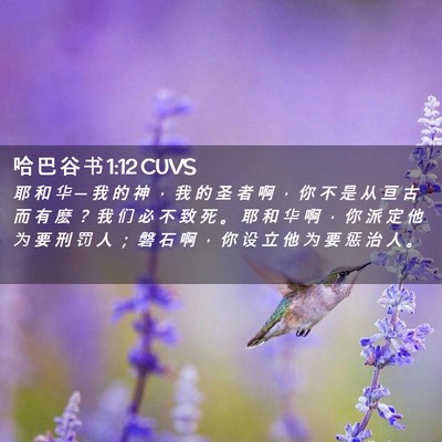 Picture 02 - 哈 巴 谷 书 1:12 CUVS - 耶 和 华 ─ 我 的 神 ， 我 的 圣 者 - Bible Verse Picture