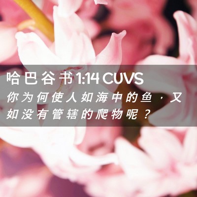 Picture 02 - 哈 巴 谷 书 1:14 CUVS - 你 为 何 使 人 如 海 中 的 鱼 ， 又 - Bible Verse Picture