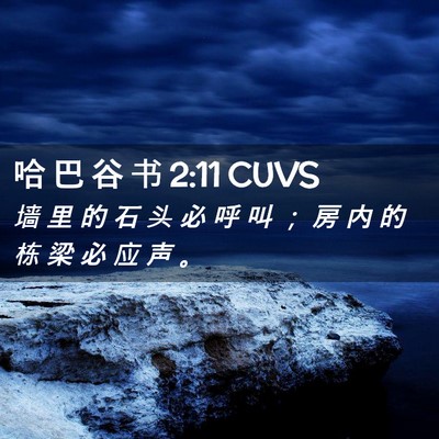 Picture 02 - 哈 巴 谷 书 2:11 CUVS - 墙 里 的 石 头 必 呼 叫 ； 房 内 的 - Bible Verse Picture