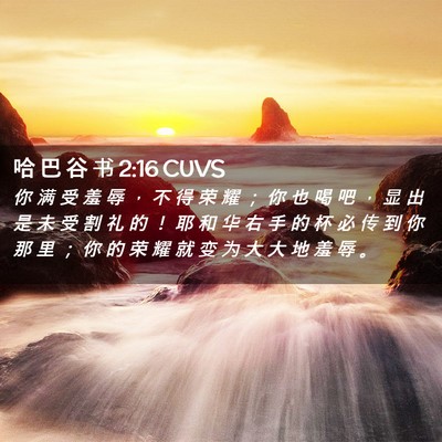 Picture 02 - 哈 巴 谷 书 2:16 CUVS - 你 满 受 羞 辱 ， 不 得 荣 耀 ； 你 - Bible Verse Picture