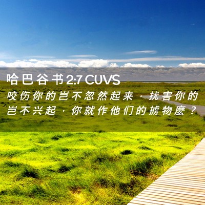 Picture 02 - 哈 巴 谷 书 2:7 CUVS - 咬 伤 你 的 岂 不 忽 然 起 来 ， 扰 - Bible Verse Picture