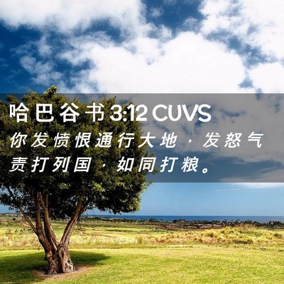 Picture 02 - 哈 巴 谷 书 3:12 CUVS - 你 发 愤 恨 通 行 大 地 ， 发 怒 气 - Bible Verse Picture
