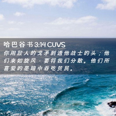 Picture 02 - 哈 巴 谷 书 3:14 CUVS - 你 用 敌 人 的 戈 矛 刺 透 他 战 士 - Bible Verse Picture
