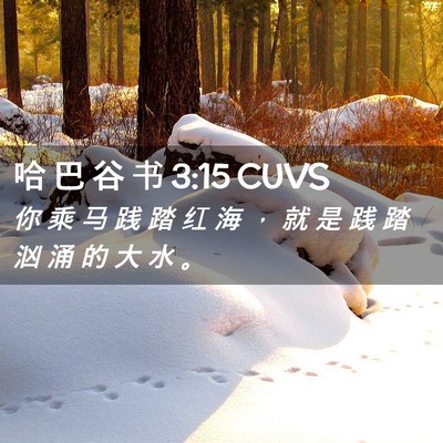 Picture 02 - 哈 巴 谷 书 3:15 CUVS - 你 乘 马 践 踏 红 海 ， 就 是 践 踏 - Bible Verse Picture