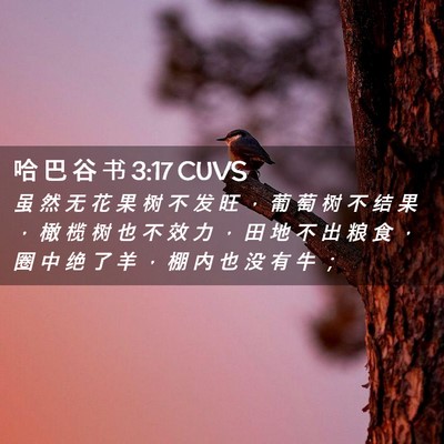 Picture 02 - 哈 巴 谷 书 3:17 CUVS - 虽 然 无 花 果 树 不 发 旺 ， 葡 萄 - Bible Verse Picture