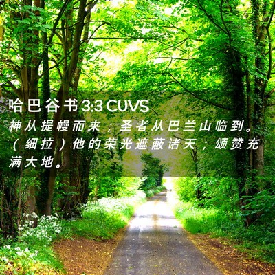 Picture 02 - 哈 巴 谷 书 3:3 CUVS - 神 从 提 幔 而 来 ； 圣 者 从 巴 兰 - Bible Verse Picture