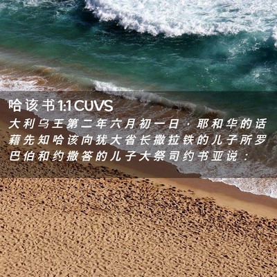 Picture 02 - 哈 该 书 1:1 CUVS - 大 利 乌 王 第 二 年 六 月 初 一 日 - Bible Verse Picture
