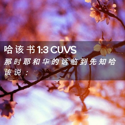 Picture 02 - 哈 该 书 1:3 CUVS - 那 时 耶 和 华 的 话 临 到 先 知 哈 - Bible Verse Picture