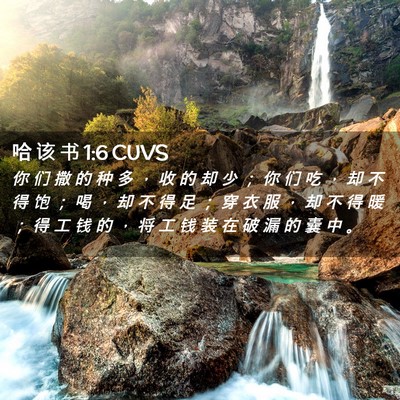 Picture 02 - 哈 该 书 1:6 CUVS - 你 们 撒 的 种 多 ， 收 的 却 少 ； - Bible Verse Picture