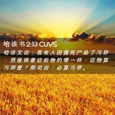Picture 02 - 哈 该 书 2:13 CUVS - 哈 该 又 说 ： 若 有 人 因 摸 死 尸 - Bible Verse Picture
