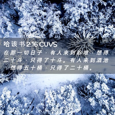 Picture 02 - 哈 该 书 2:16 CUVS - 在 那 一 切 日 子 ， 有 人 来 到 谷 - Bible Verse Picture