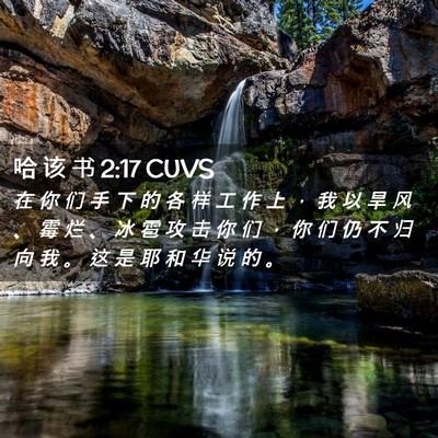 Picture 02 - 哈 该 书 2:17 CUVS - 在 你 们 手 下 的 各 样 工 作 上 ， - Bible Verse Picture