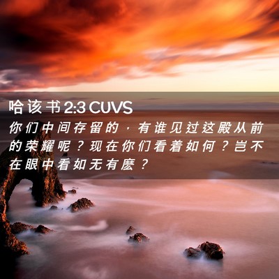 Picture 02 - 哈 该 书 2:3 CUVS - 你 们 中 间 存 留 的 ， 有 谁 见 过 - Bible Verse Picture