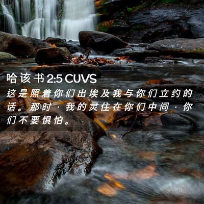 Picture 02 - 哈 该 书 2:5 CUVS - 这 是 照 着 你 们 出 埃 及 我 与 你 - Bible Verse Picture