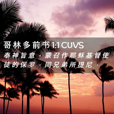 Picture 02 - 哥 林 多 前 书 1:1 CUVS - 奉 神 旨 意 ， 蒙 召 作 耶 稣 基 督 - Bible Verse Picture