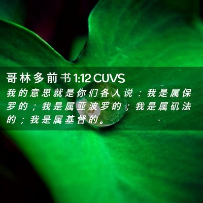 Picture 02 - 哥 林 多 前 书 1:12 CUVS - 我 的 意 思 就 是 你 们 各 人 说 ： - Bible Verse Picture