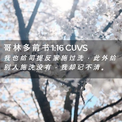 Picture 02 - 哥 林 多 前 书 1:16 CUVS - 我 也 给 司 提 反 家 施 过 洗 ， 此 - Bible Verse Picture