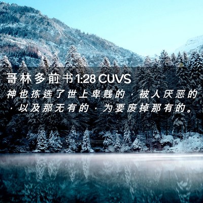 Picture 02 - 哥 林 多 前 书 1:28 CUVS - 神 也 拣 选 了 世 上 卑 贱 的 ， 被 - Bible Verse Picture