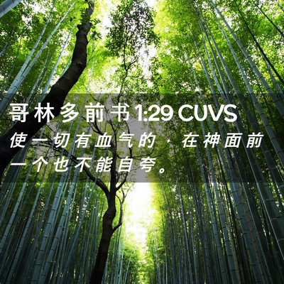 Picture 02 - 哥 林 多 前 书 1:29 CUVS - 使 一 切 有 血 气 的 ， 在 神 面 前 - Bible Verse Picture