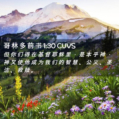 Picture 02 - 哥 林 多 前 书 1:30 CUVS - 但 你 们 得 在 基 督 耶 稣 里 ， 是 - Bible Verse Picture
