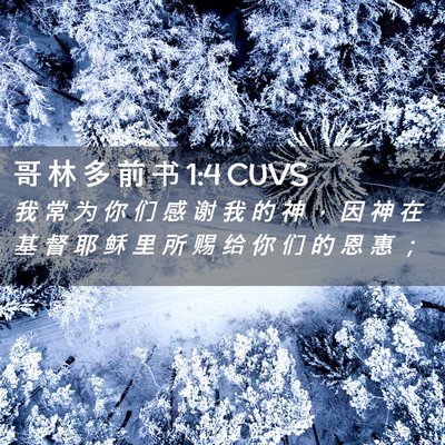 Picture 02 - 哥 林 多 前 书 1:4 CUVS - 我 常 为 你 们 感 谢 我 的 神 ， 因 - Bible Verse Picture