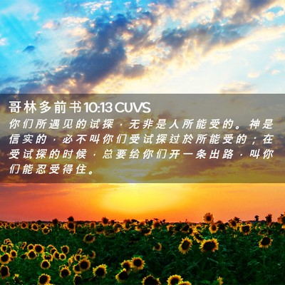 Picture 02 - 哥 林 多 前 书 10:13 CUVS - 你 们 所 遇 见 的 试 探 ， 无 非 是 - Bible Verse Picture