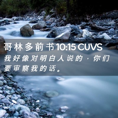 Picture 02 - 哥 林 多 前 书 10:15 CUVS - 我 好 像 对 明 白 人 说 的 ， 你 们 - Bible Verse Picture