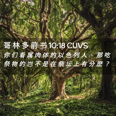 Picture 02 - 哥 林 多 前 书 10:18 CUVS - 你 们 看 属 肉 体 的 以 色 列 人 ， - Bible Verse Picture