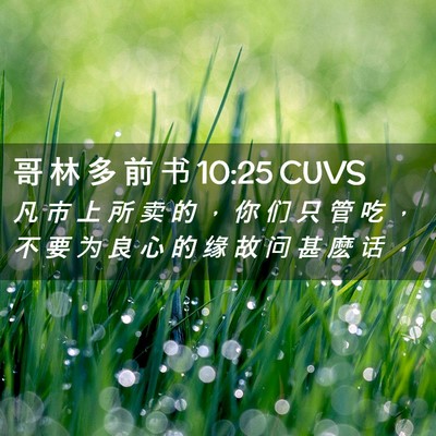 Picture 02 - 哥 林 多 前 书 10:25 CUVS - 凡 市 上 所 卖 的 ， 你 们 只 管 吃 - Bible Verse Picture