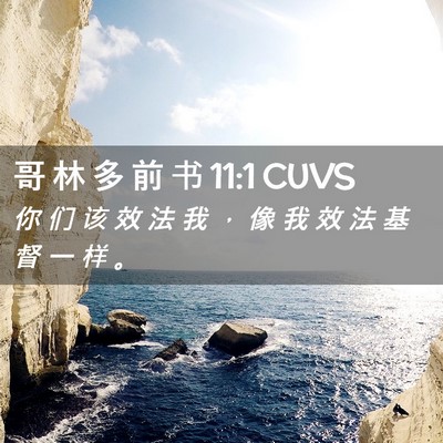 Picture 02 - 哥 林 多 前 书 11:1 CUVS - 你 们 该 效 法 我 ， 像 我 效 法 基 - Bible Verse Picture