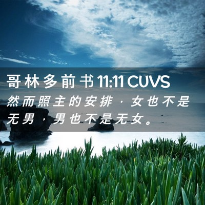 Picture 02 - 哥 林 多 前 书 11:11 CUVS - 然 而 照 主 的 安 排 ， 女 也 不 是 - Bible Verse Picture