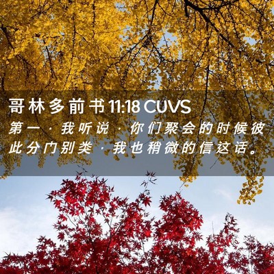 Picture 02 - 哥 林 多 前 书 11:18 CUVS - 第 一 ， 我 听 说 ， 你 们 聚 会 的 - Bible Verse Picture