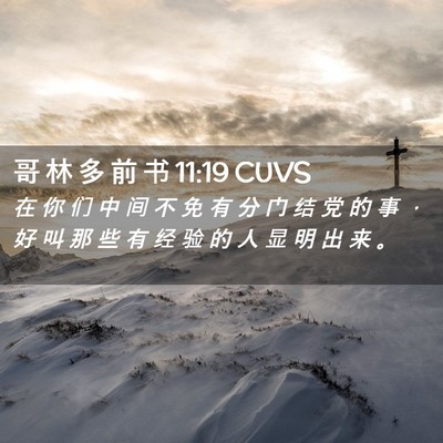 Picture 02 - 哥 林 多 前 书 11:19 CUVS - 在 你 们 中 间 不 免 有 分 门 结 党 - Bible Verse Picture