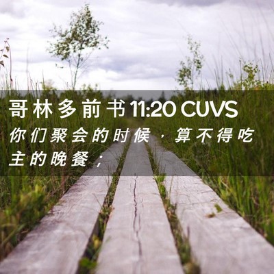 Picture 02 - 哥 林 多 前 书 11:20 CUVS - 你 们 聚 会 的 时 候 ， 算 不 得 吃 - Bible Verse Picture
